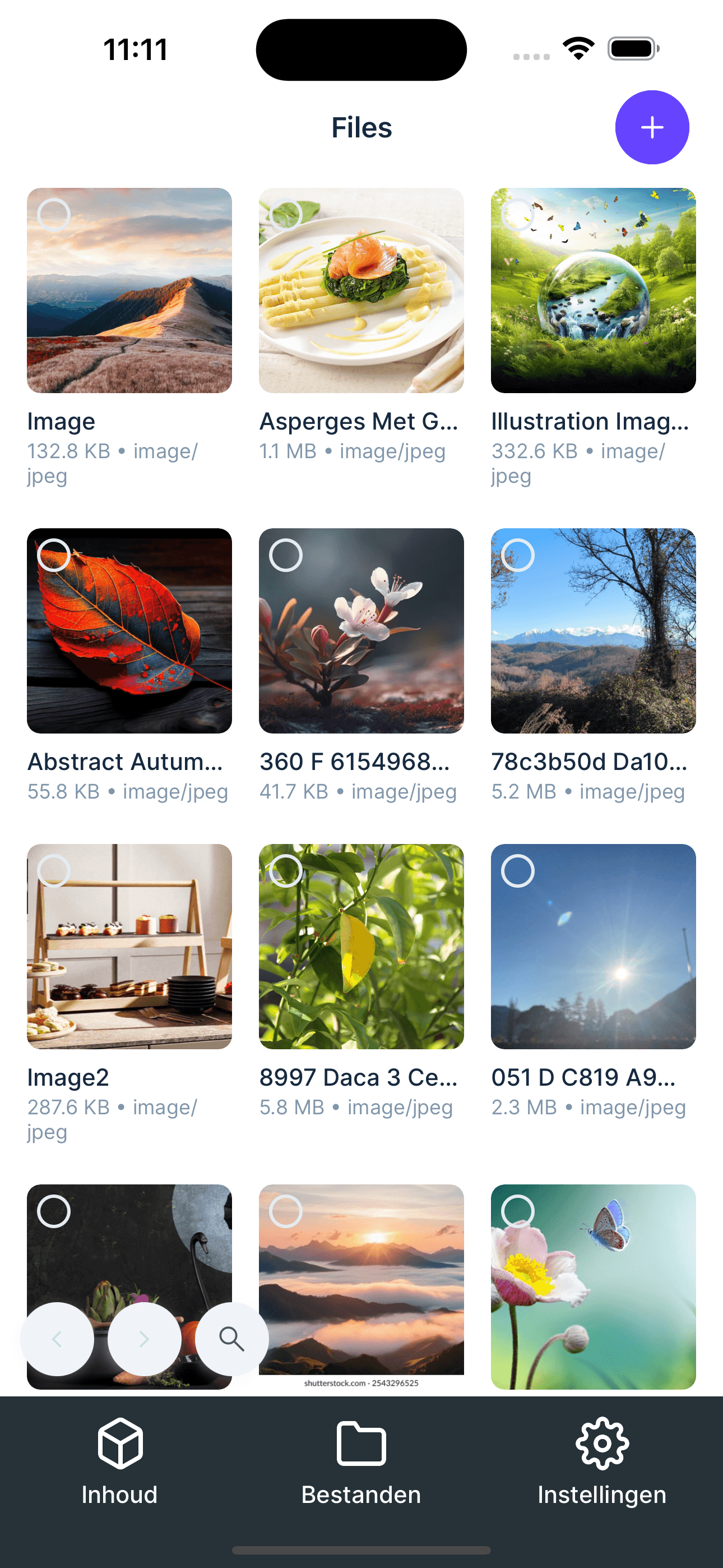 File management system dashboard